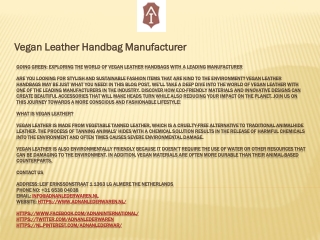 Vegan Leather Handbag Manufacturer