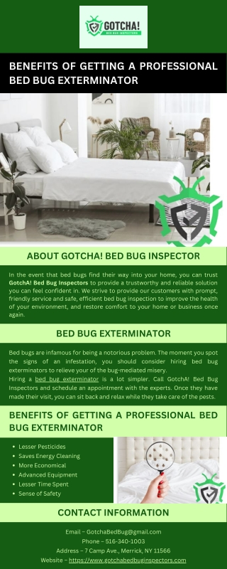 Benefits of Getting a Professional Bed Bug Exterminator