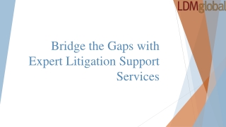 Bridge the Gaps with Expert Litigation Support Services