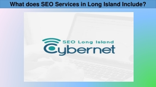 What does SEO Services in Long Island Include