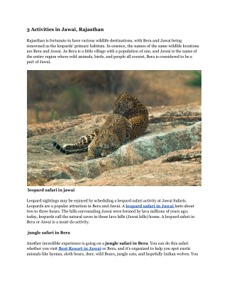 3 Activities in Jawai Bandh, Rajasthan