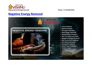 Astrologer in Negative Energy Removal -astrovishnuguruji