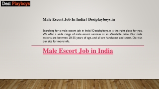 Male Escort Job In India  Desiplayboys.in