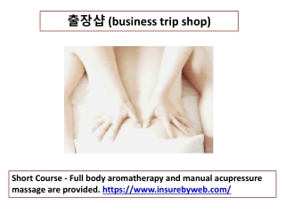 출장샵 (business trip shop)