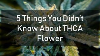 5 Things You Didn’t Know About THCA Flower