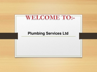 Looking for the best Plumbing maintenance in Westmere