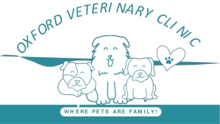 Reasons to Choose Oxford Veterinary Clinic