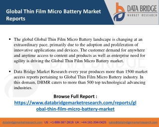 Thin Film Micro Battery -SE