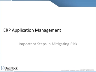 ERP Application Management: Important Steps in Mitigating Ri
