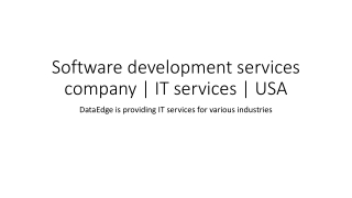 Software development services company | IT services | USA