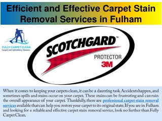 Carpet Stain Removal Service Fulham