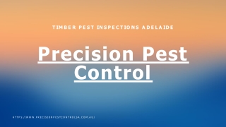 Termite Inspection Adelaide | Precision Pest Control