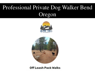 Professional Private Dog Walker Bend Oregon