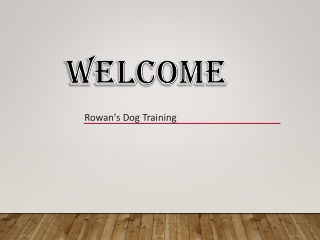 Rowan's Dog Training