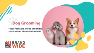 The Importance Of Dog Grooming Software On Grooming Business
