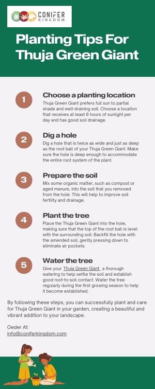 5 Planting Tips For Thuja Green Giant