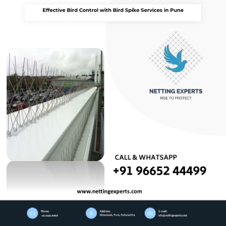 Effective Bird Control with Bird Spike Services in Pune: How It Works and Its Be