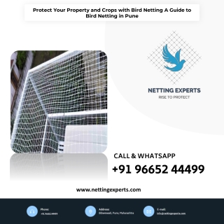 Protect Your Property and Crops with Bird Netting: A Guide to Bird Netting in Pu