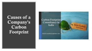 Causes of a Company's Carbon Footprint