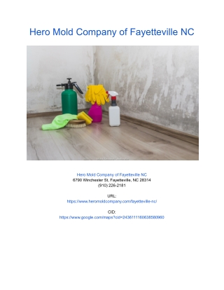 Hero Mold Company of Fayetteville NC