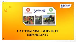 CAT TRAINING WHY IS IT IMPORTANT