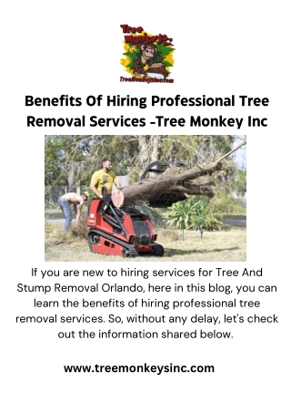 Benefits Of Hiring Professional Tree Removal Services -Tree Monkey Inc