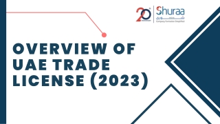 Overview of UAE Trade License (2023)