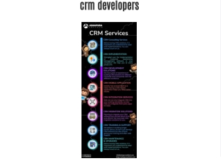 crm developers