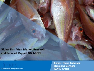 Fish Meal Market Industry Overview, Growth Rate and Forecast 2023-2028
