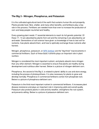 The Big 3 - Nitrogen, Phosphorus, and Potassium (2)