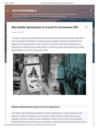 Why Mobile Optimization is Crucial for eCommerce SEO