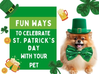 Fun Ways To Celebrate St. Patrick's Day With Pet
