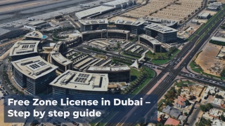 Dubai Free Zone License