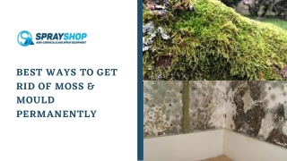 Best Ways to Get Rid of Moss & Mould Permanently