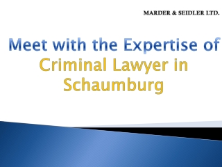 Meet with the Expertise of Criminal Lawyer in Schaumburg-Marder and Seidler