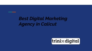 Best Digital Marketing Agency in Calicut