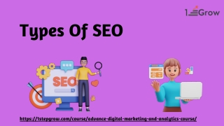 Types of SEO