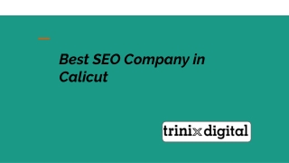 Best SEO Company in Calicut | Trinix Digital