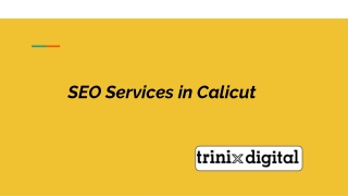 Best SEO Services in Calicut | Trinix Digital