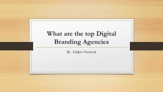 What are the top Digital Branding Agencies