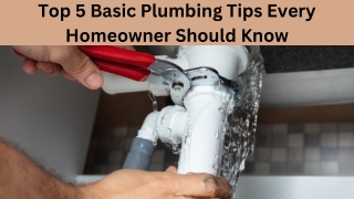 Top 5 Basic Plumbing Tips Every Homeowner Should Know