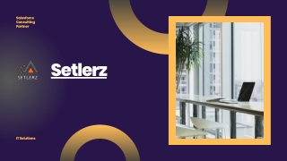 Setlerz: Salesforce Consulting Partner