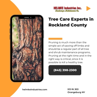 Tree Care Experts in Rockland County