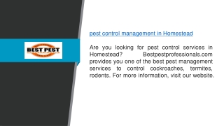 Pest Control Management In Homestead  Bestpestprofessionals.com