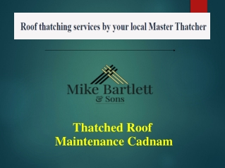 Thatched Roof Maintenance Cadnam