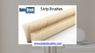 Strip Brushes