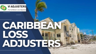 Catastrophe Adjusters for Insurance Companies in the Caribbean | VI Adjusters