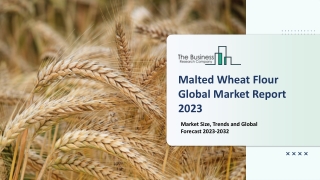 Malted Wheat Flour Market - Growth, Strategy Analysis, And Forecast 2032