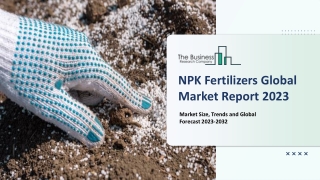 NPK Fertilizers Market Size, Insights | Share, Sales And Global Trend Analysis