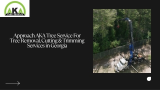 Get Tree Trimming And Cutting Services From AKA Tree Service in Atlanta